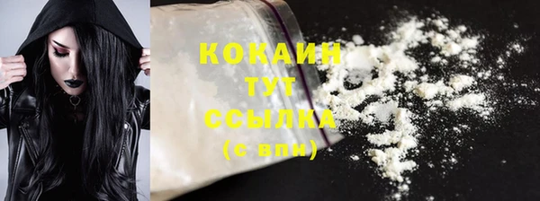 гашик Белокуриха