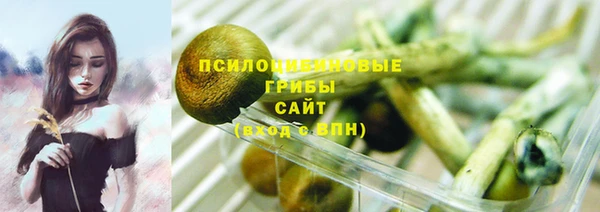 меф Богородицк