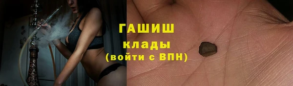 гашик Белокуриха