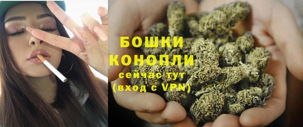 меф Богородицк