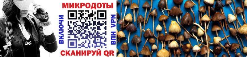 Купить  Новый Оскол  Псилоцибиновые грибы MAGIC MUSHROOMS 